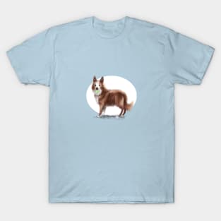 Collie Dog T-Shirt